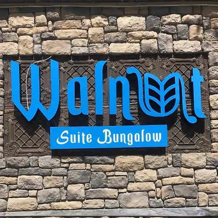Walnut * Çamlıhemşin